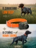 Бипер для охотничьих собак Dogtra StB-Hawk L