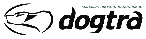 Dogtra-pro